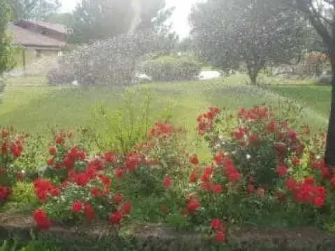 Casale Delle Rose - Photo 2