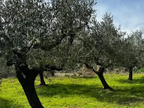 Casale Om shanti - Photo 1