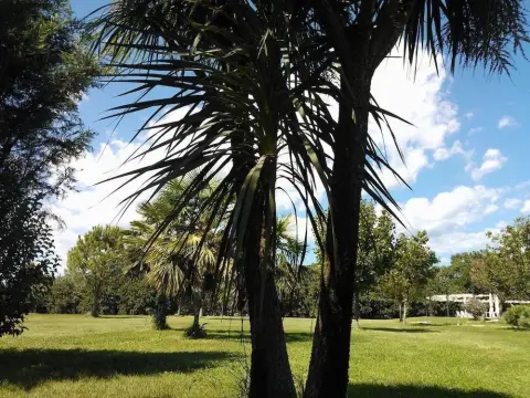 Casale San Germano - Photo 3