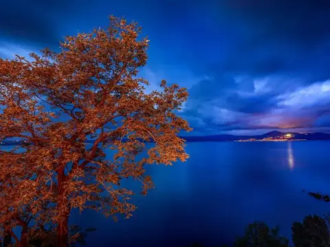 Centro e Spiaggia ambra - Photo 4