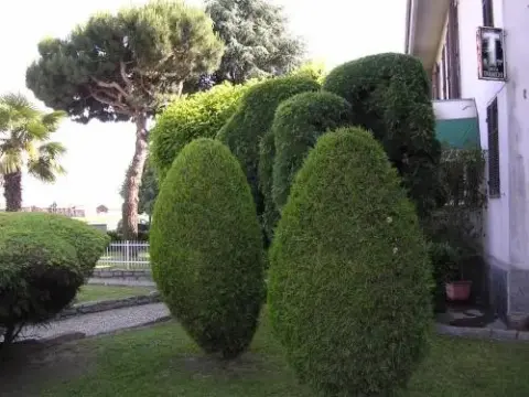 Cerruti Hotel - Photo 4