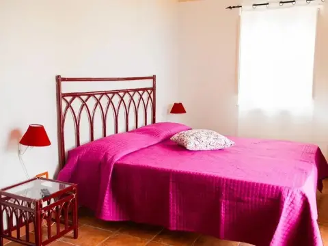 Falco In Pietra - Photo 2