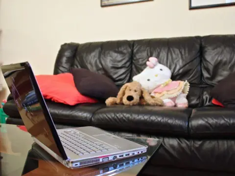 Fontana del Delfino - Photo 4