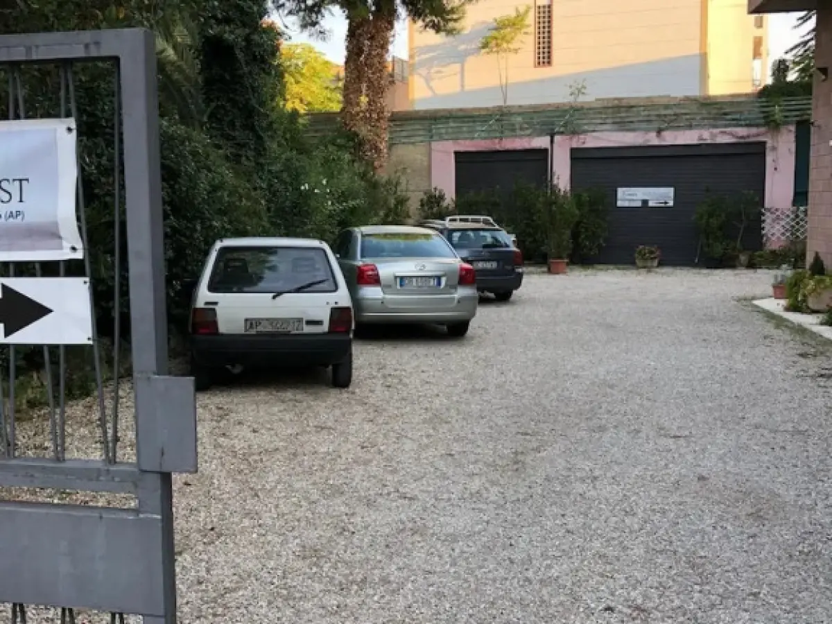 Gabbiano Bianco