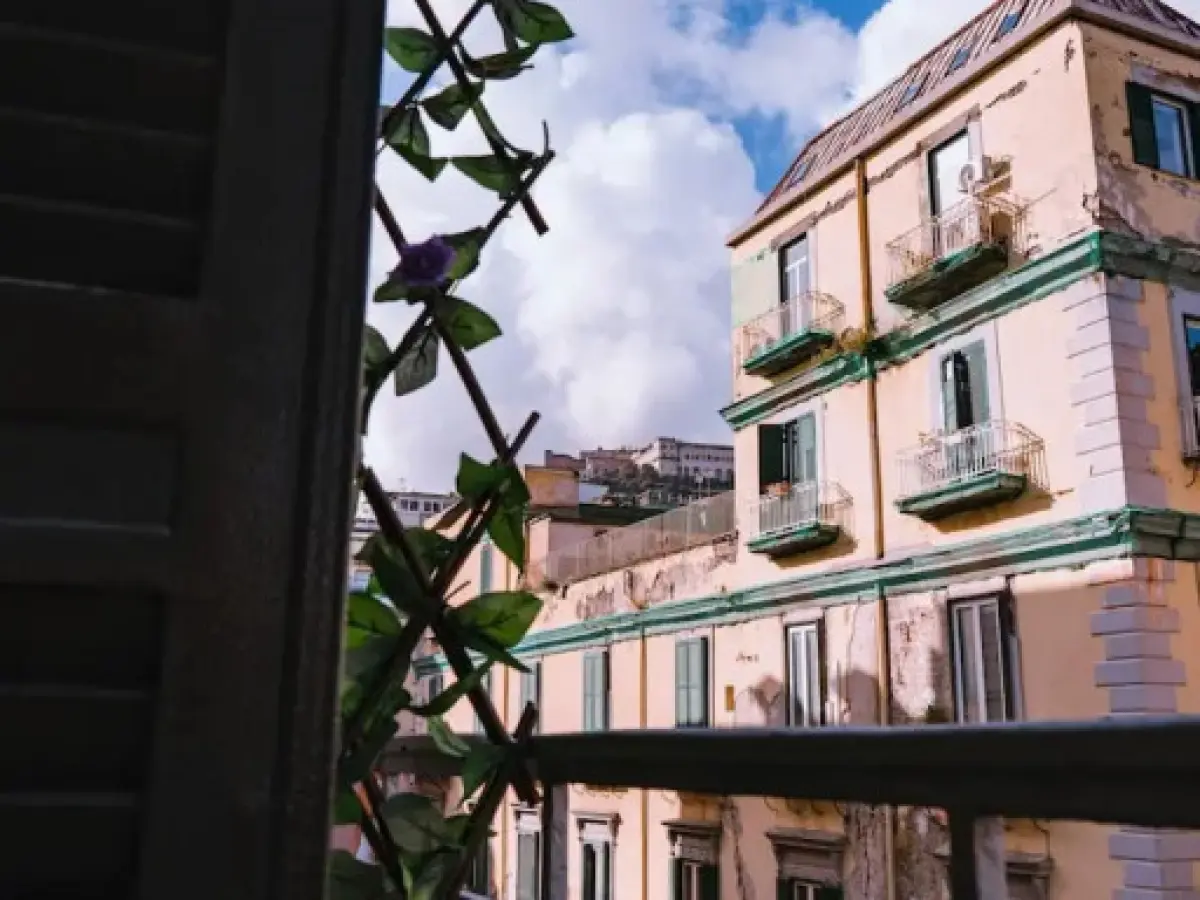 GG - Grow - Santa Brigida