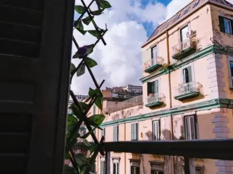 GG - Grow - Santa Brigida - Photo 1