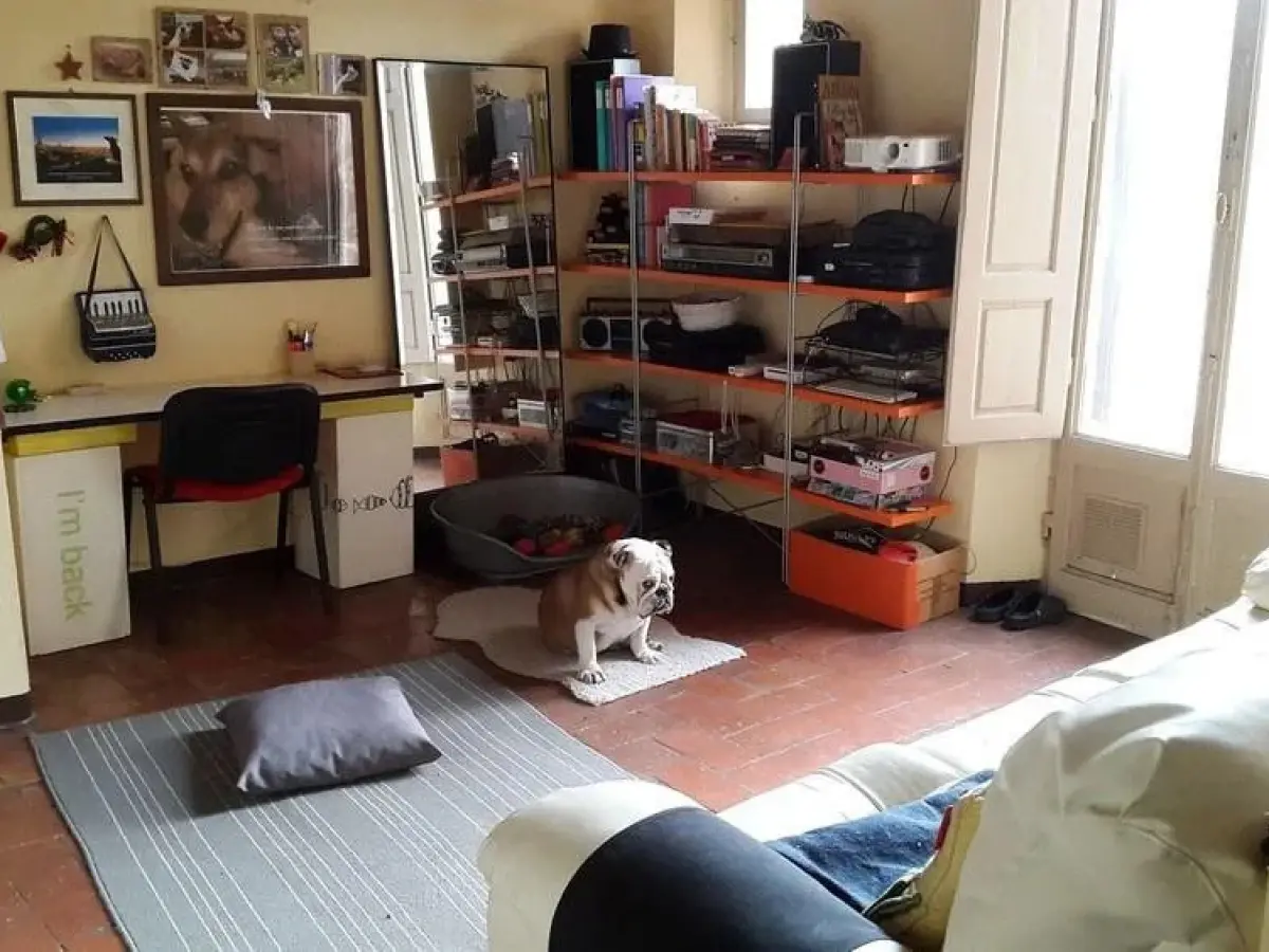 Happiness House