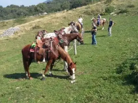 Hotel Al Cacciatore - Photo 4