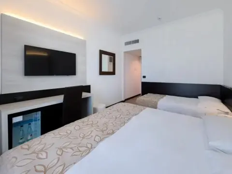 Hotel Ambasciatori  Delfino - Photo 4