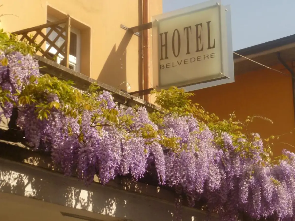 Hotel Belvedere