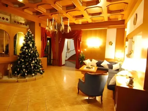 Hotel Belvedere & Paradise Club Center - Photo 2