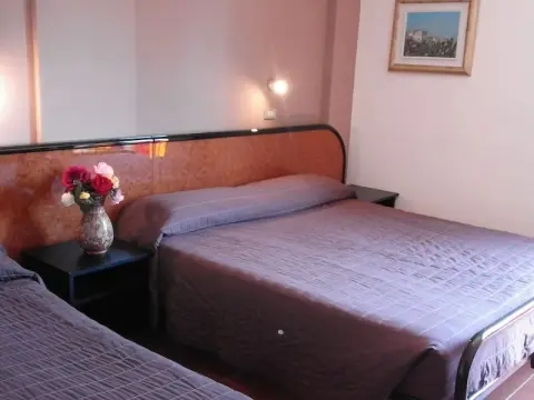 Hotel Beniamino Ubaldi - Photo 4