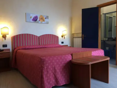 Hotel Coccodrillo - Photo 4