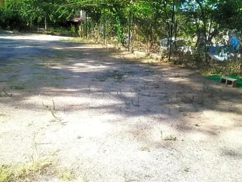 Hotel Conca d'Oro - Foto 3