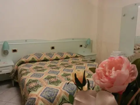 Hotel Ferranti - Photo 4