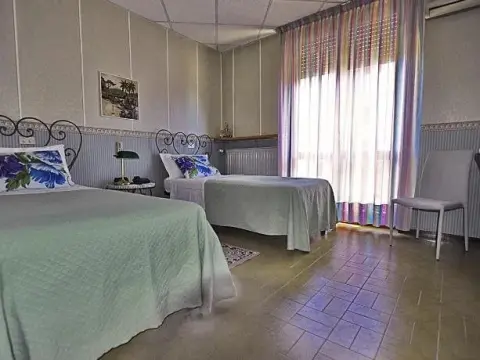 Hotel Milanesi - Photo 3