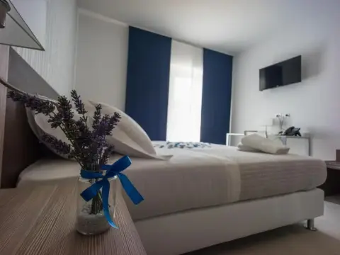 Hotel Palmensis - Photo 2