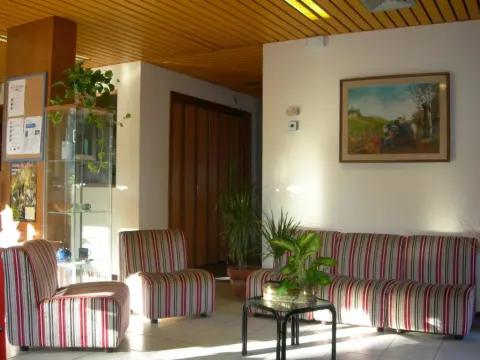 Hotel Primavera - Photo 2