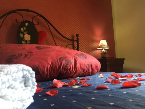 Hotel Ristorante Novecento - Photo 4