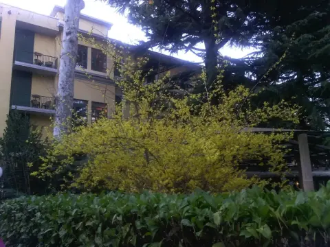 Hotel Salus - Photo 1