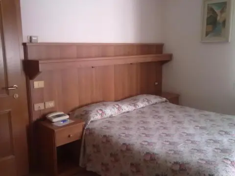 Hotel Stella Alpina - фото 2