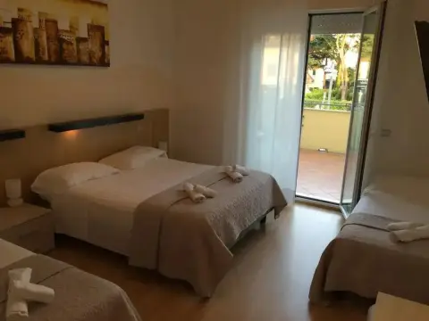 Stella D'oro - Photo 3