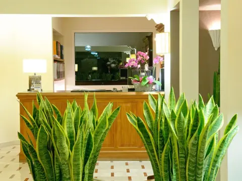 Hotel Trionfal - Photo 2