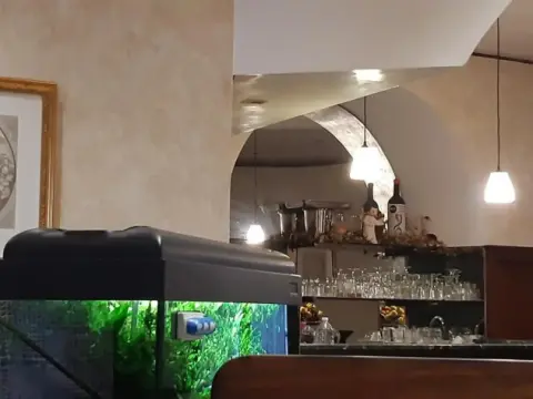 Hotel Valentino - Photo 2