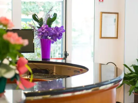 Hotel Villa Argia - фото 4