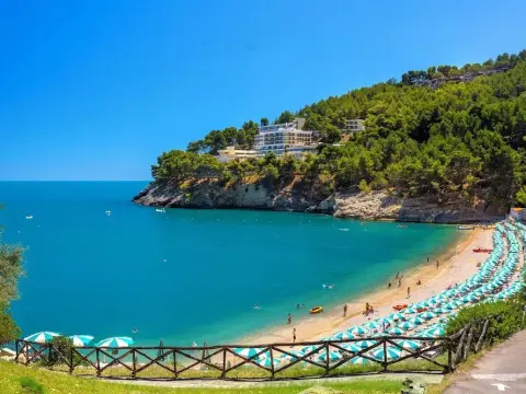 Hotiday Apartment Collection-Pugnochiuso - Photo 4