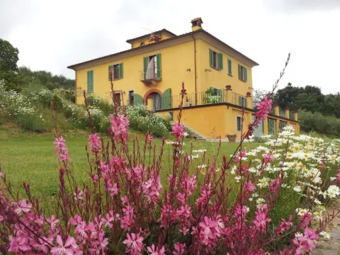 Il Campano - Photo 1