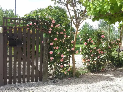 Il Casolare - Photo 3