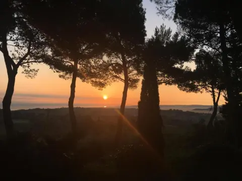 Il Colle delle Terrazze - Photo 1