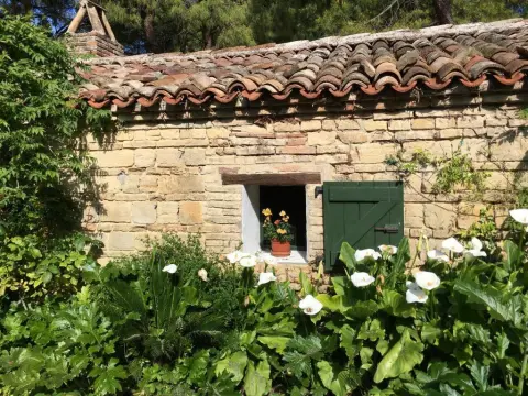 Il Colle delle Terrazze - Photo 4