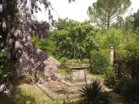 Il Fiorile - Photo 4