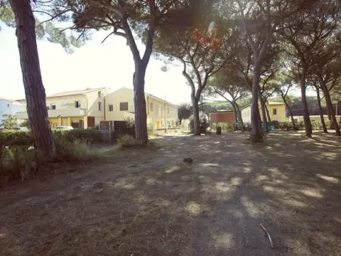 Il giaguaro - Photo 1