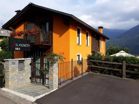 Il Vigneto - Photo 1