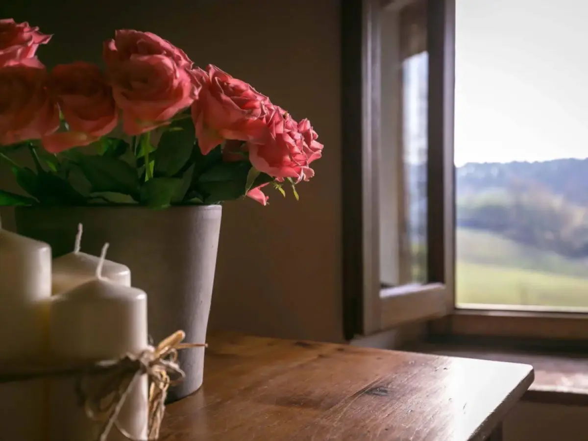 Il Vignolino Bed and Breakfast