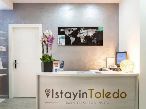 IstayinToledo Luxury Guest House - Photo 2