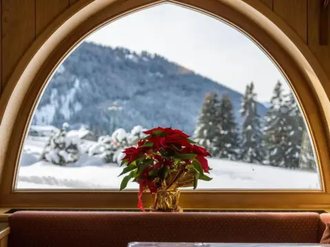 Kleine Gartenwohnung Haus Forelle - Photo 4