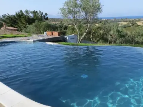 La Calendula - Foto 4