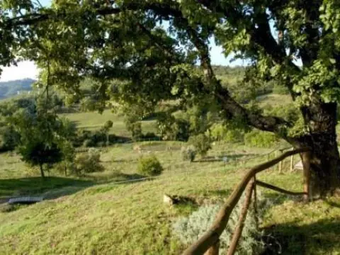 La Meridiana Locanda in Maremma - Photo 1