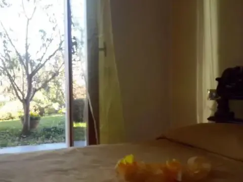 La Zucca Matta - Photo 2