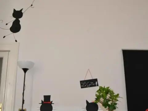 Le Gatte - фото 3