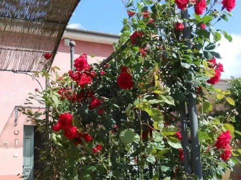 Agriturismo Le Pellicce - Photo 1