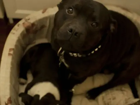 Le Suite di Via Ottaviano - Photo 3