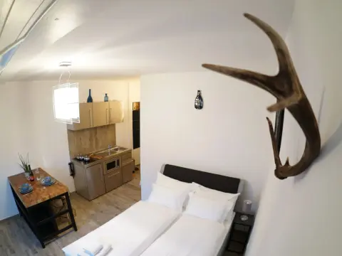 Life Studio & City Bike - Photo 2