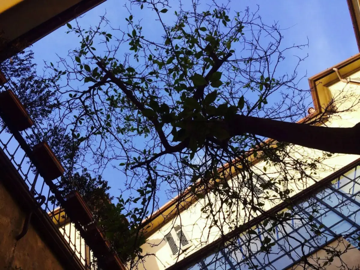 Locanda San Marco Residenza Caluri