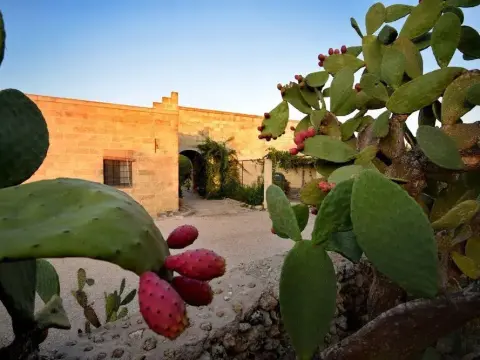 Masseria Le Pezzate - Photo 1