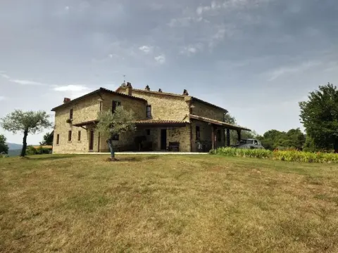 Meone - Foto 1